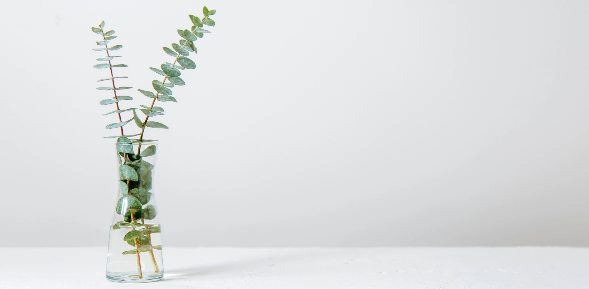 Calming therapy environment